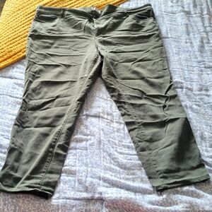 Loft Plus Crop Pants